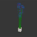 Tall Green Stem Plant in White Square Pot with Slender Stems and Light Blooms