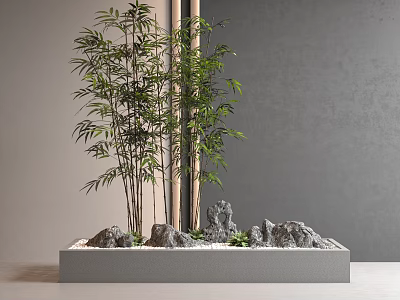 Potted Bamboo Plants With Decorative Rocks In Modern Indoor Setting 3d model