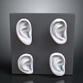 Highly Detailed Human Ear Organ Models Arranged on Gray Square Block