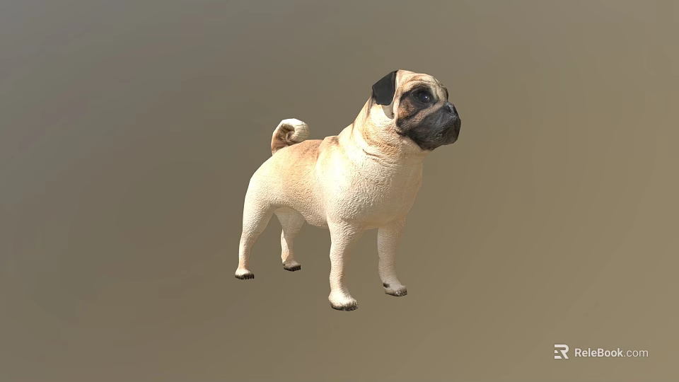 Realistic 3D Model Of Standing Pug Dog With Beige And Black Coat 3d model 