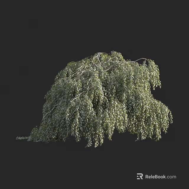 Arbor With Lush Green Foliage And Drooping Branches In Natural Scene 3d model 