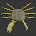 Yellow Crab With Black Eyes And Claws On Black Reflective Background