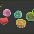 Fresh Whole And Sliced Figs With Red Yellow Color On Dark Background