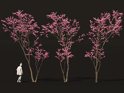 Three Pink Flowering Shrubs With Human Figure Silhouette In Dark Background 3d model