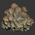 Brightly Colored Coral With Porous Textured Surface In Marine Aquatic Environment