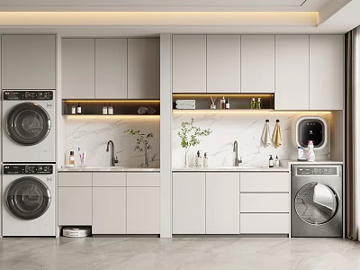 Modern Laundry Room Interior With Washing Machines Cabinets Sink And Green Plants 3d model