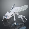 Futuristic Mechanical Insect 3D Model With Transparent Wings And Metallic Body