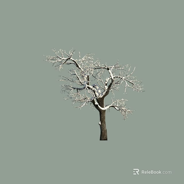 Bare Tree With Snow Covered Branches And Dark Trunk On Gray Background 3d model 