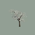 Bare Tree With Snow Covered Branches And Dark Trunk On Gray Background 3d model