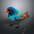 Vibrant Blue Bird with Brown Feathers Standing on Dark Background 3d model