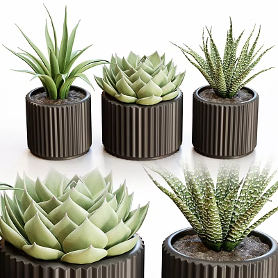 The flowerpot in the black flowerpot 3d model