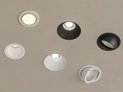 Various Styles Of Ceiling Mounted Downlights And Spotlights In White And Black 3d model