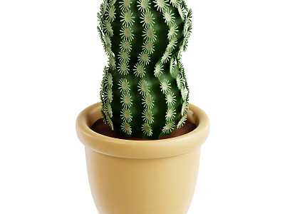 Green Potted Cactus Plant With Spiky Texture In Yellow Clay Pot 3d model