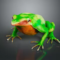 Frog Poison Frog Game Frog Reptile Cold Blooded Animal Reptile 3d model