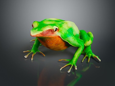 Frog Poison Frog Game Frog Reptile Cold Blooded Animal Reptile 3d model