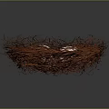 Bird Nest Made Of Straw Containing Four White Eggs On Dark Background