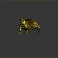 Brown and Yellow Shelled Turtle on Gray Background Detailed Reptile