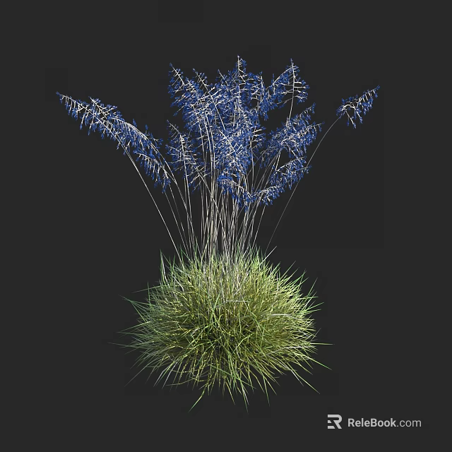 Beautiful Blue Grass Like Plants Growing In Green Grass Clump For Garden Decoration 3d model 