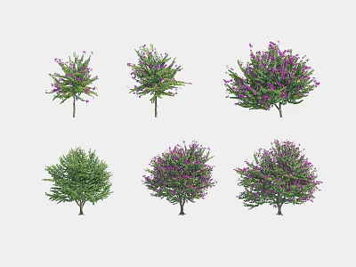 Various Arbor Trees With Purple Flowers And Green Foliage For Landscaping 3d model