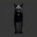 Striking Black and Gray Fox with White Tipped Tail Standing on Gray Background