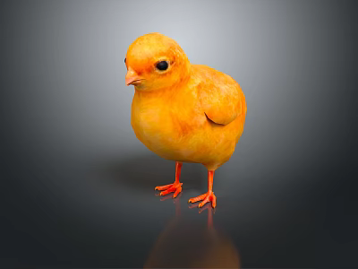Cute Yellow Baby Chick With Soft Feathers Standing On Dark Surface With Reflection 3d model