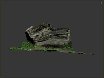 Natural Wood Stone with Layered Texture Green Moss and Organic Surface Patterns 3d model