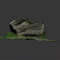 Natural Wood Stone with Layered Texture Green Moss and Organic Surface Patterns