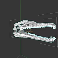 Reptile Fossil Skull With Long Snout And Sharp Teeth On Dark Background 3d model
