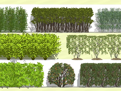 Diverse Arbor Types With Hedges and Crown Shapes in Landscape Design 3d model