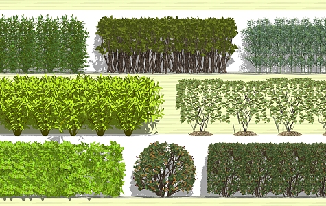 Modern Tree Greening Wall Shrub Hedge 3d model