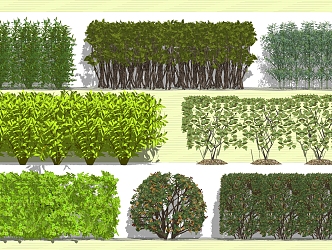 Modern Tree Greening Wall Shrub Hedge 3d model