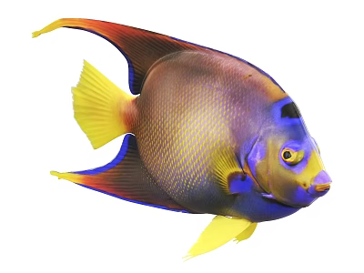 Vibrant Tropical Fish With Yellow Fins Blue Purple Body And Scales Texture 3d model