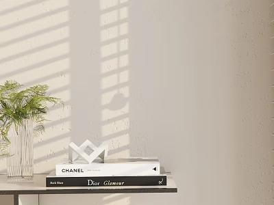 Decorative Ornament Set With Green Plant Books Geometric Decor And Sunlight Shadow 3d model