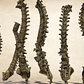 Artistic Stone Spine Shaped Garden Ornaments For Outdoor Decorative