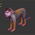 Standing Monkey With Grey And Yellow Fur On Black Background With Reflection 3d model