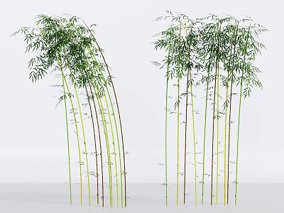 Lush Green and Brown Bamboo Stems With Dense Leaves For Indoor Decoration 3d model