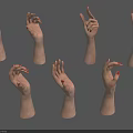 Realistic Human Hands In Different Gestures With Red Nail Polish And Natural Skin