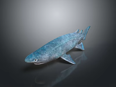 Realistic Blue Shark 3D Model Featuring Reflective Skin On Grey Background 3d model