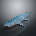 Realistic Blue Shark 3D Model Featuring Reflective Skin On Grey Background 3d model