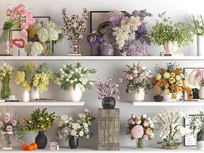 Colorful Flowers in Various Vases with Different Types Glass Ceramic Wooden Containers on Shelves 3d model