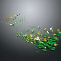 Aquatic Plants with Yellow and White Flowers Green Floating Leaves and Slender Stems