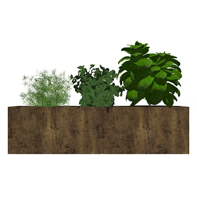 Modern potted potted plant 3d model