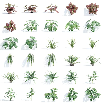 Modern Shrubs Flowers Green Plants Wall Plants 3d model Modern Shrubs Flowers Green Plants Wall Plants 3d model