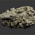 Natural Marine Coral Structure With Intricate Branches And Textured Surface