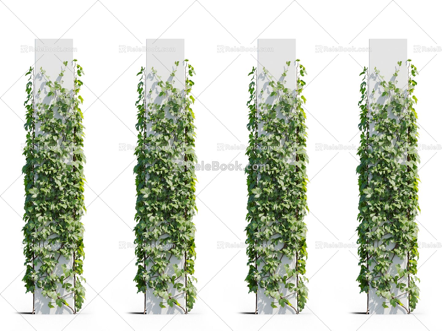 Modern Vine Vine Plant 3d model