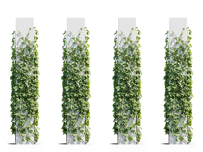 Green Vines Climbing On White Pillars For Decorative Garden Foliage Design 3d model
