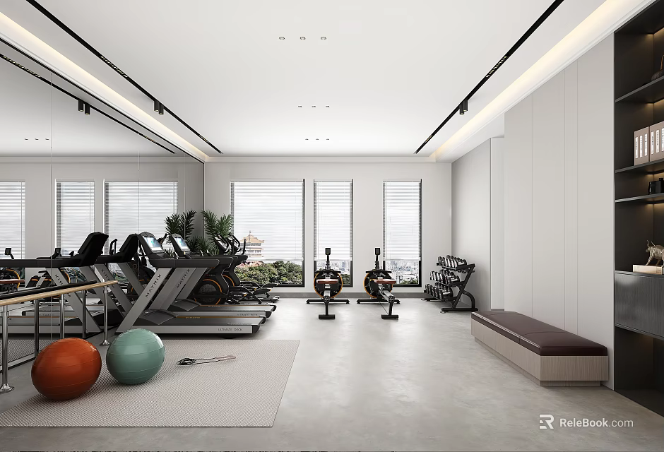 Modern Gym Interior With Diverse Fitness Equipment And Natural Light 3d model 