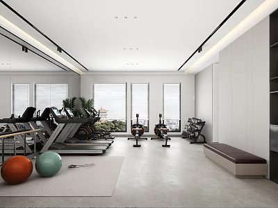 Modern Gym Interior With Diverse Fitness Equipment And Natural Light 3d model