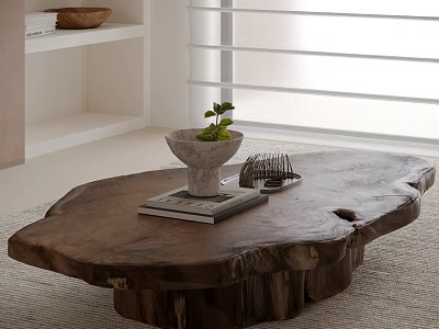 Natural Edge Wooden Coffee Table with Stone Bowl Green Plant Books and Metal Tray 3d model