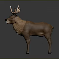 3D Rendered Detailed Deer Model With Large Antlers Brown Fur Standing Pose